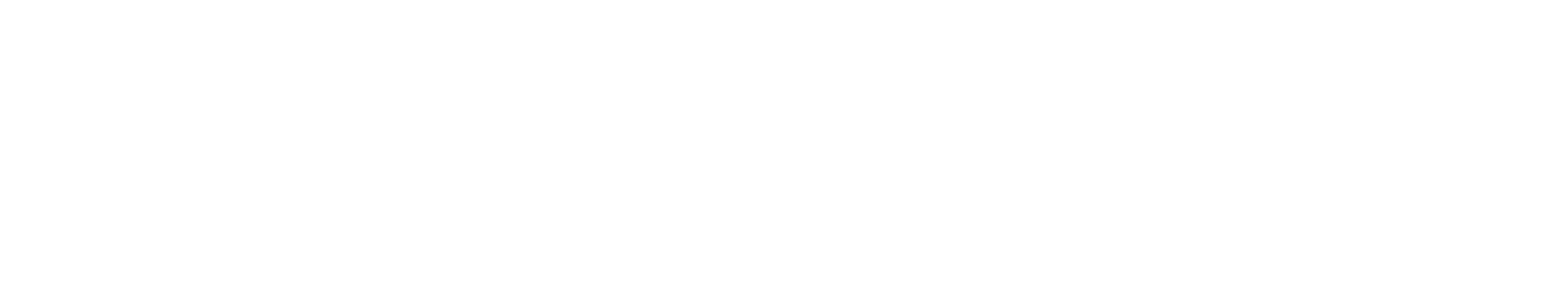 Partner Logo 4